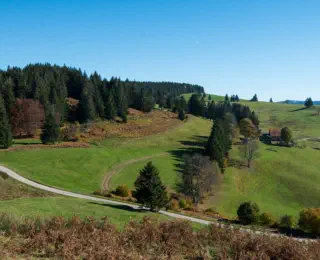 piquante pierre vosges