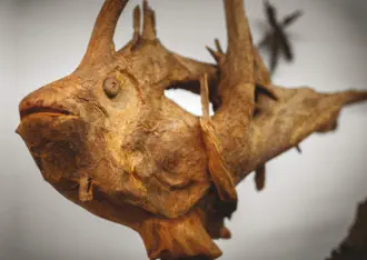 musée des mille et une racines à cornimont