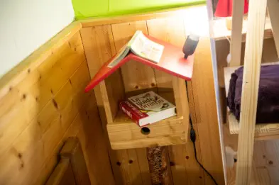 Décoration autour des oiseaux