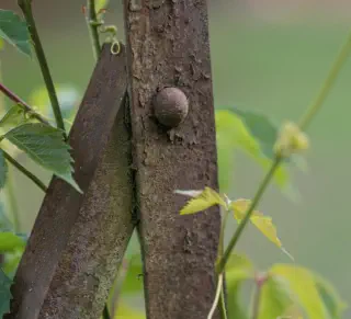 décoration extérieure au gîte de la retorderie