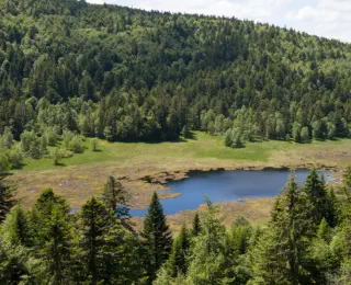 tourbière de machais