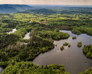 plateau des mille étangs