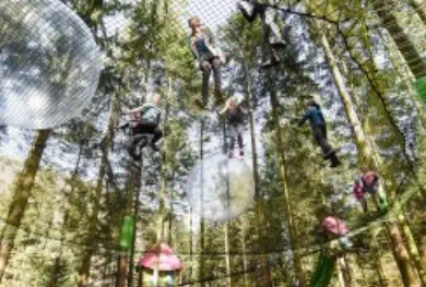 bois des lutins bol d'air la bresse