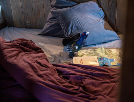 chambre cabane