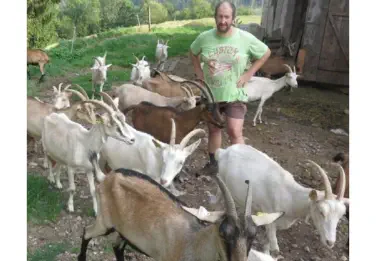 producteur fromages de chèvre