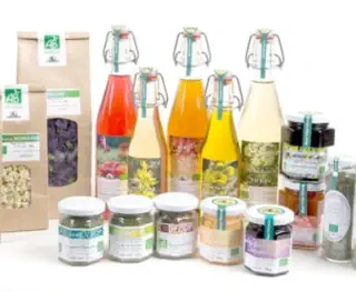 jardins de bernadette au haut du tôt