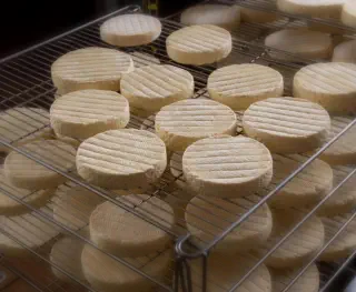 munster chez l'exploitant leuvrey saulxures