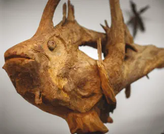 musée des mille et une racines à cornimont