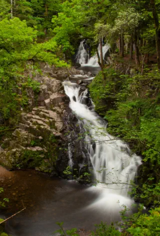 saut du bouchit à sapois